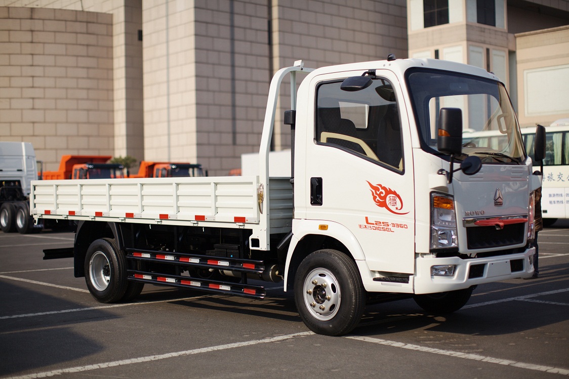 Howo 4x2 Cargo Truck-1